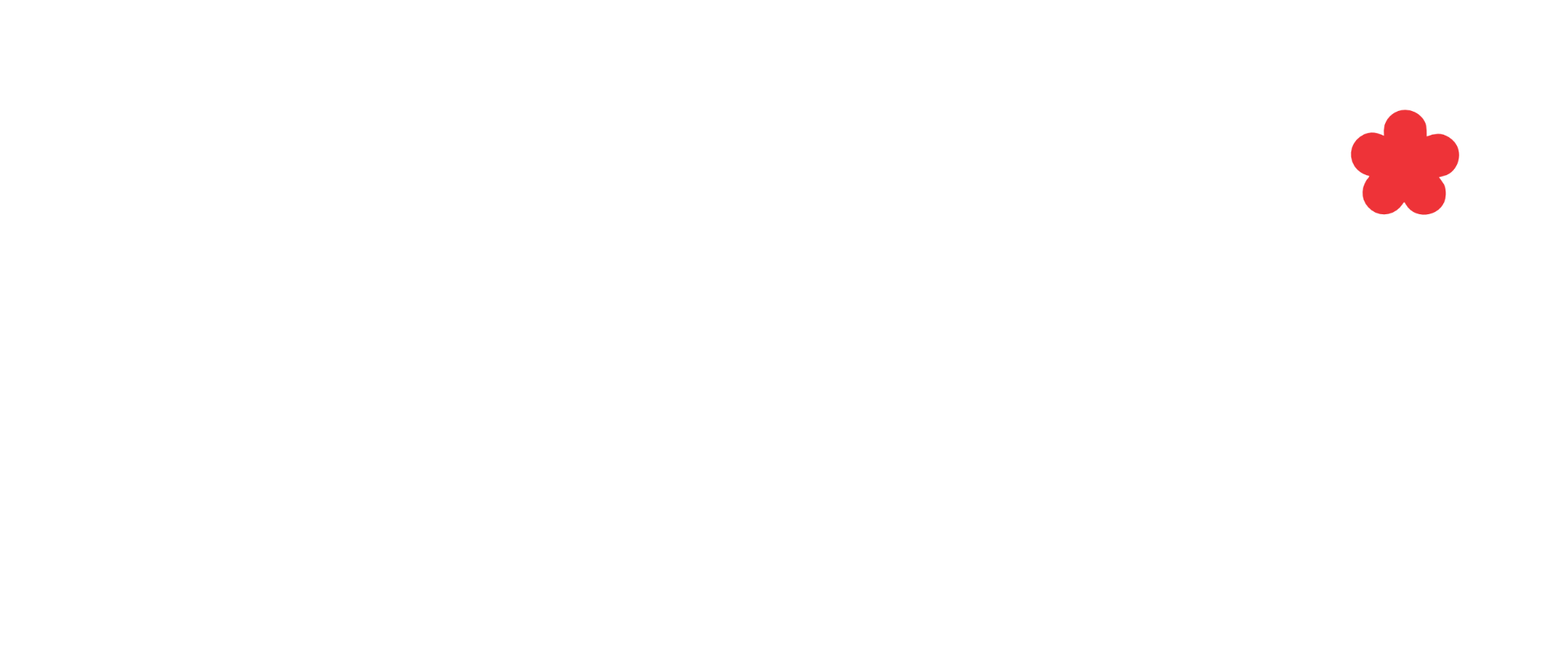 Bahor Visuals